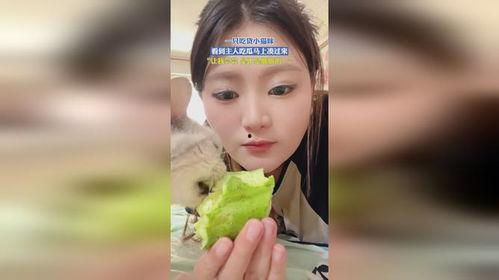 娱乐吃瓜小野猫微博