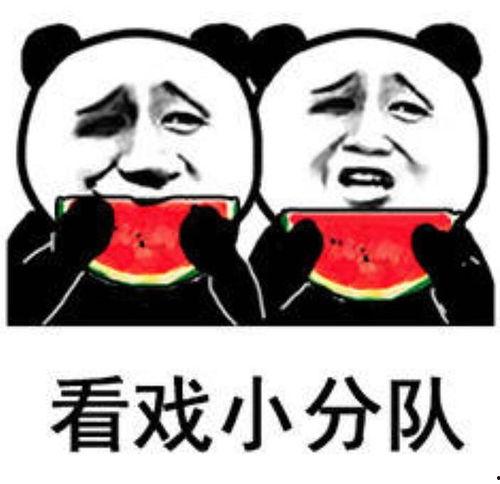 吃瓜表情包代表什么意思,揭秘网络时代的社交密码